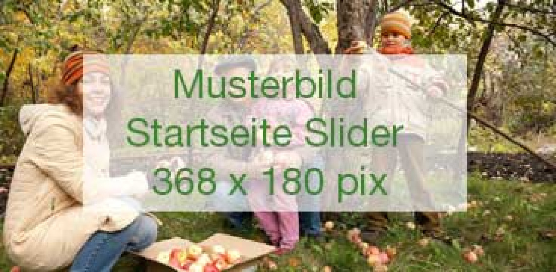 Aktuelles-Artikel (5)